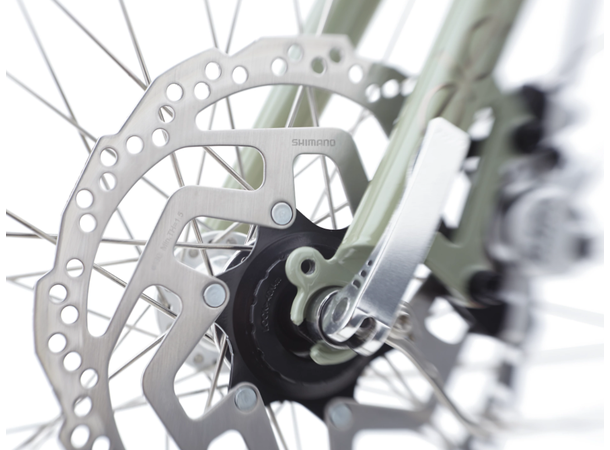 Electra Townie Go Elsykkel 5i, Bosch, ST, Green Tea 
