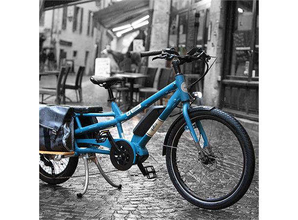 Yuba Spicy Curry Transportsykkel Bosch Cargo Line elsykkel, Blue 