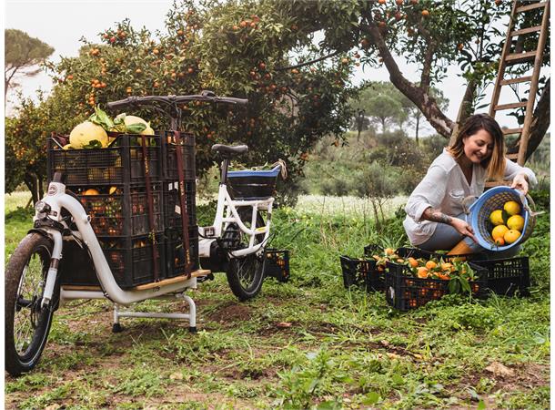 Yuba SuperMarché Transportsykkel 2020 mod, Bosch CX, Elsykkel 