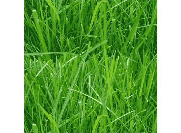 Bikecap Setetrekk Grass 