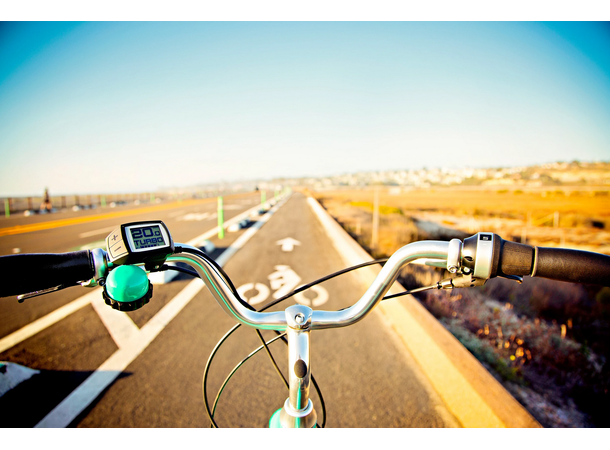 Electra Townie Go Elsykkel 5i, Bosch, SO, Olive 