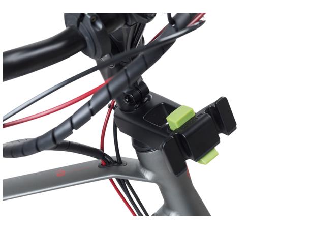 Basil Kurvfeste Ahead Klickfix Stemholder 