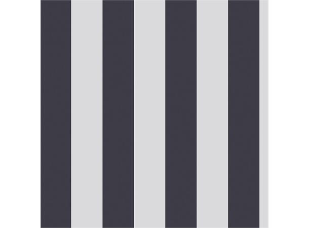 Bikecap Setetrekk Grey Stripes