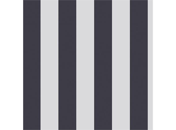 Bikecap Setetrekk Grey Stripes 