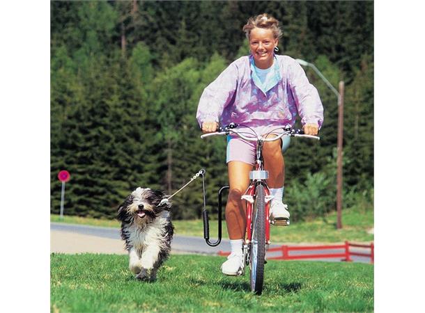 Springer sykkelfeste til hund