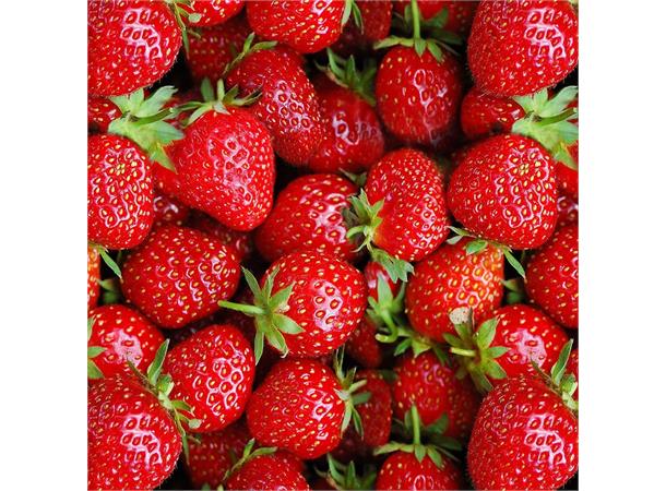 Bikecap håndvarmere Strawberries Styrevotter 