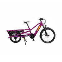 Yuba Spicy Curry Transportsykkel Bosch Cargo Line elsykkel, Very Berry