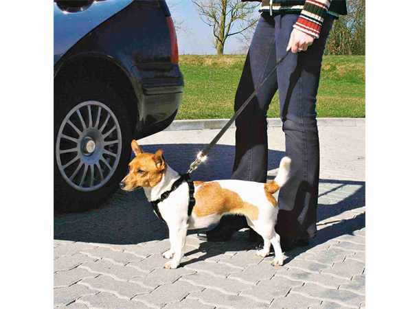 Trixie Sykkel og Sikkerhetsele 30-60 cm omkrets 
