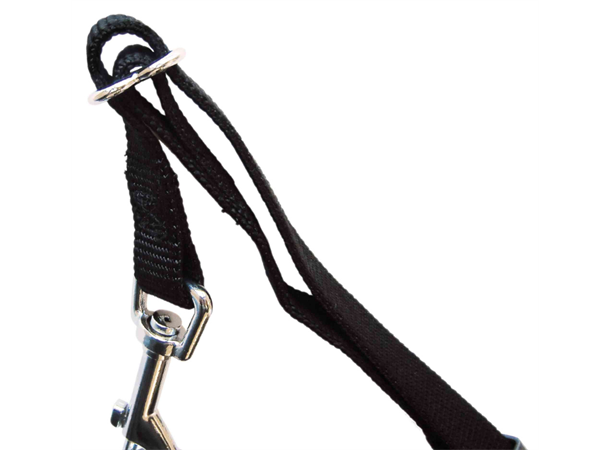Trixie Sykkel og Sikkerhetsele 30-60 cm omkrets 