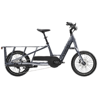 Trek Fetch+ 2 Transportsykkel Bosch Cargo Smart elsykkel Galactic Grey