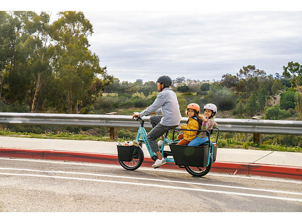 Trek Fetch+ 2 Transportsykkel Bosch Cargo Smart elsykkel Galactic Grey