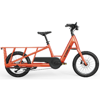 Trek Fetch+ 2 Transportsykkel Bosch Cargo Smart elsykkel, Lava