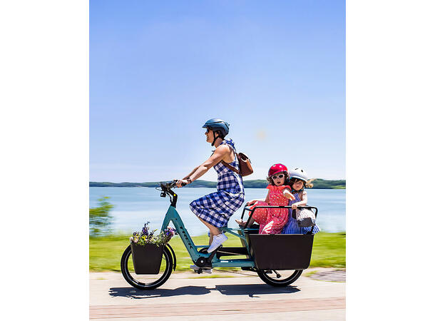 Trek Fetch+ 2 Transportsykkel Bosch Cargo Smart elsykkel, Lava