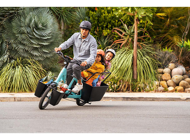 Trek Fetch+ 2 Transportsykkel Bosch Cargo Smart elsykkel, Lava