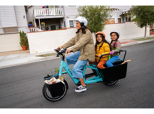 Trek Fetch+ 2 Transportsykkel Bosch Cargo Smart elsykkel, Lava