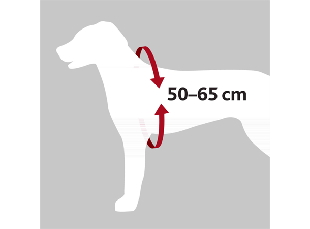 Trixie Sykkel og Sikkerhetsele Comfort 50-65 cm omkrets 
