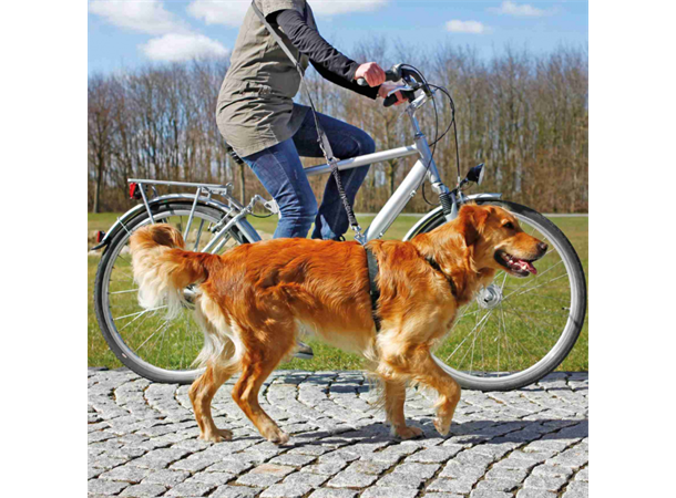 Trixie Jogge og Sykkel Line for hund 1-2 meter 