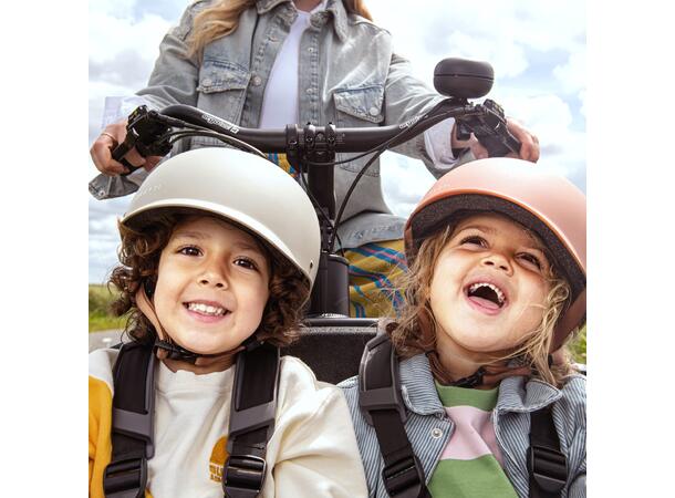 Urban Arrow FamilyNext Transportsykkel Bosch Smart Cargo Line elsykkel, Black 