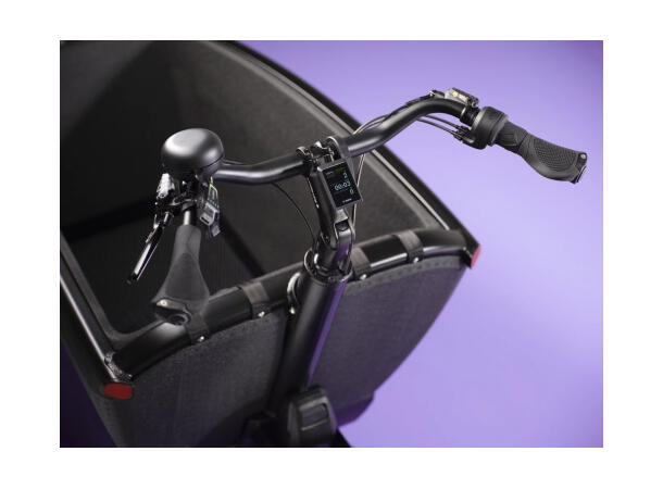 Urban Arrow FamilyNext Transportsykkel Bosch Smart Cargo Line elsykkel, Black 