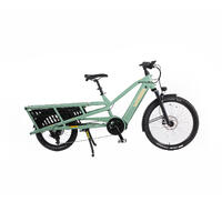 Yuba Spicy Curry+ V4 Transportsykkel Bosch Cargo Line elsykkel, Lunar