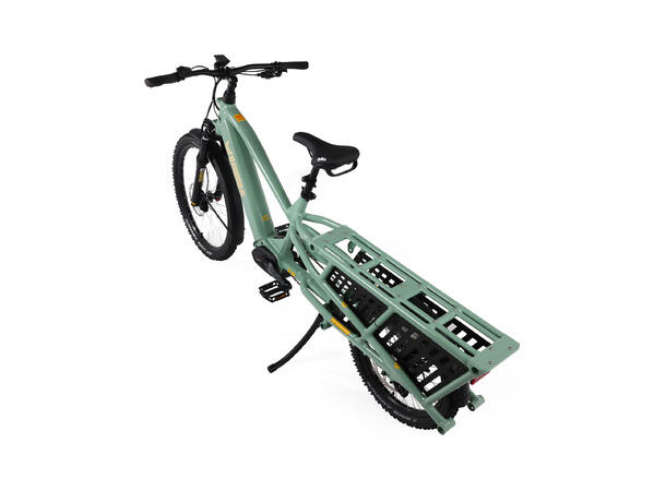 Yuba Spicy Curry+ V4 Transportsykkel Bosch Cargo Line elsykkel, Lunar 