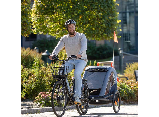 Hamax Sykkelvogn Avenida Olive Green 2-seter 
