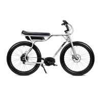Ruff Cycles Biggie Elsykkel Bosch Active, 300 Wh, Delirium Silver