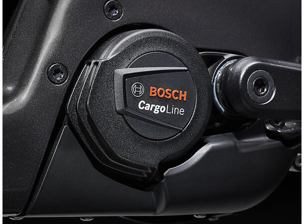 Trek Fetch+ 4 Transportsykkel Bosch Cargo Smart elsykkel Dnister Black