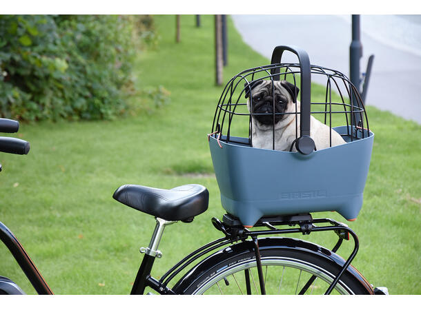 Basil Hundekurv Buddy til bagasjebrett Blå kurv + gitter + pute + feste 