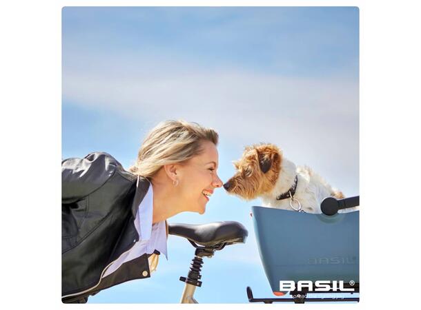 Basil Hundekurv Buddy til bagasjebrett Blå kurv + gitter + pute + feste 