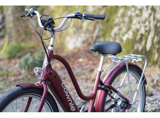 Electra Path Go! 5i Elsykkel 2020 mod, Bosch, 5 gir, ST, Rosewood 